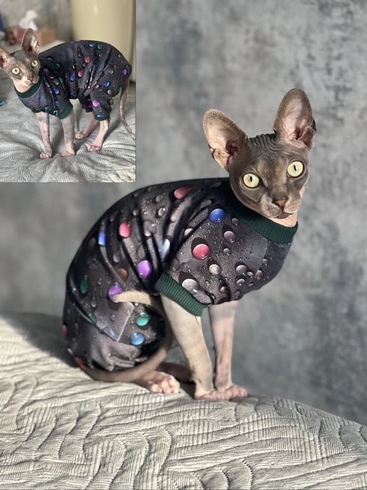 Одяг для котів Сфінксів
