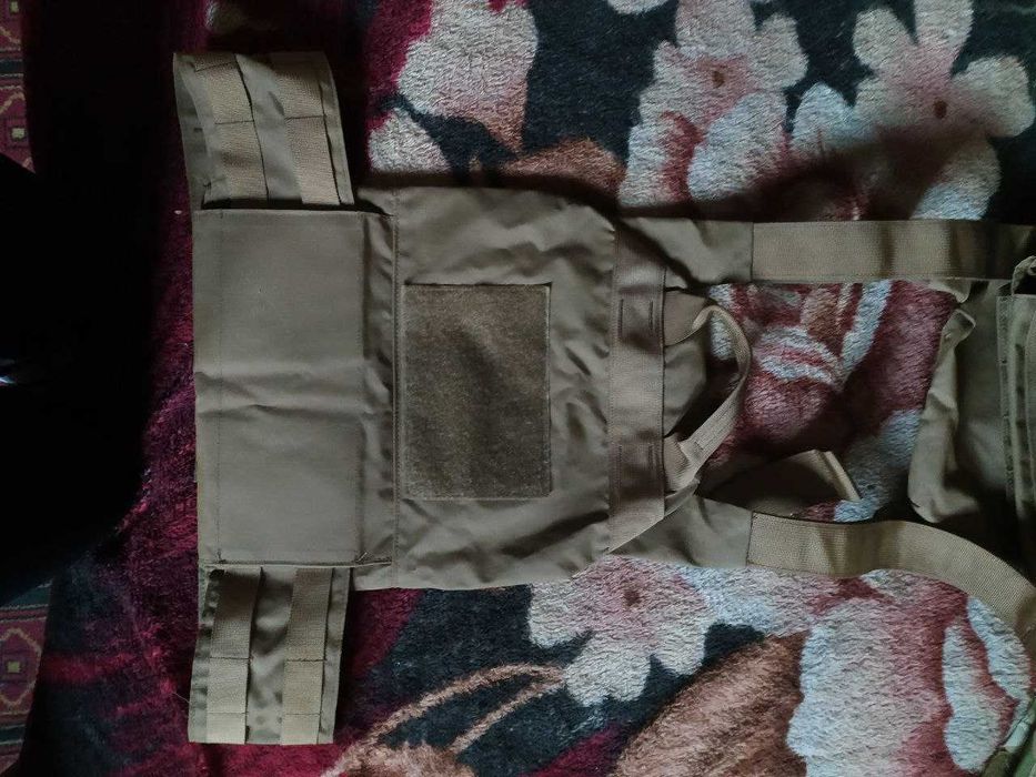 Плитоноска койот без плит