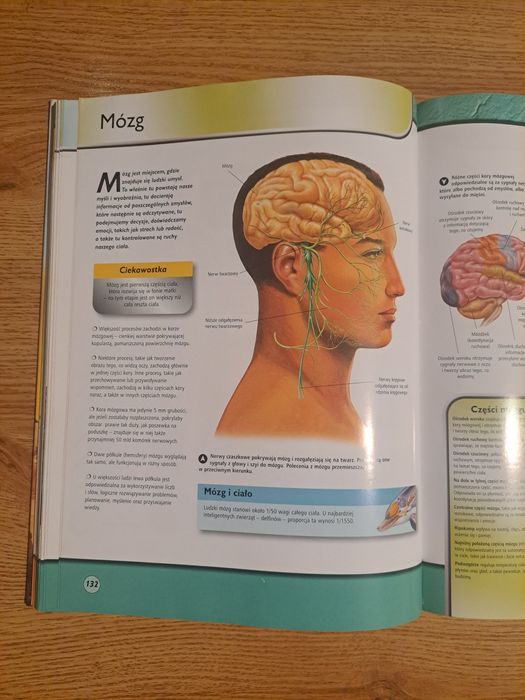 Encyklopedia Nauki dla młodzieży