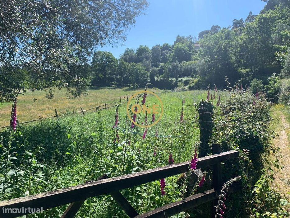 Terreno Rústico em Vieira do Minho