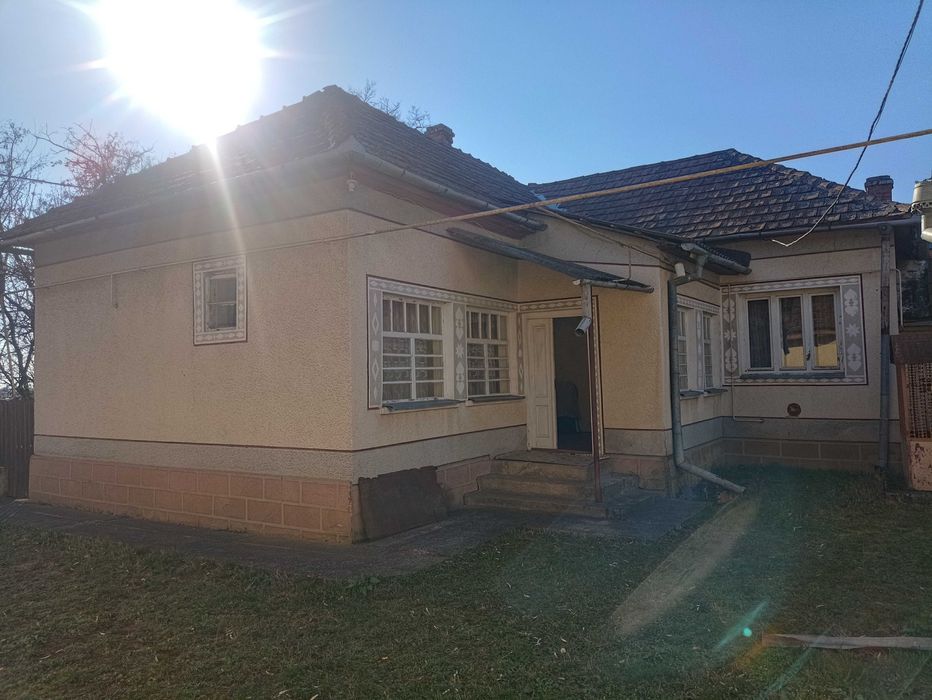 Велике БУДИНКОВОЛОДІННЯ у с. Балажер 7км до Берегова, ділянка 16 соток