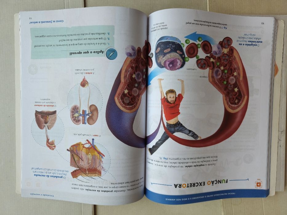 Livros/Manuais Escolares 6° Ano Ciência Viva/Ciências Naturais Parte 1
