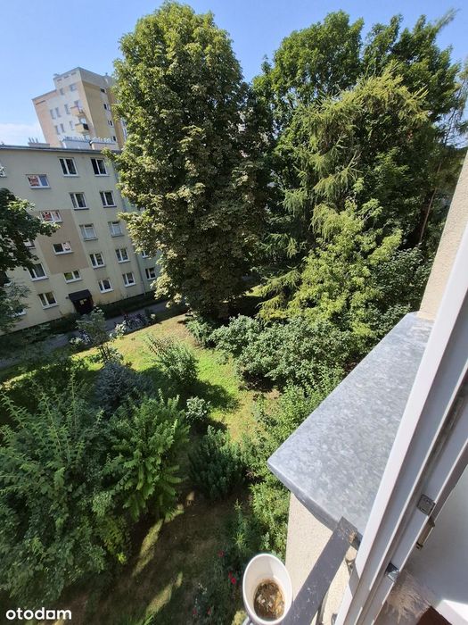 Centrum miasta, Krowodrza, ul.Litewska, ciche, jasne 3 pokojowe
