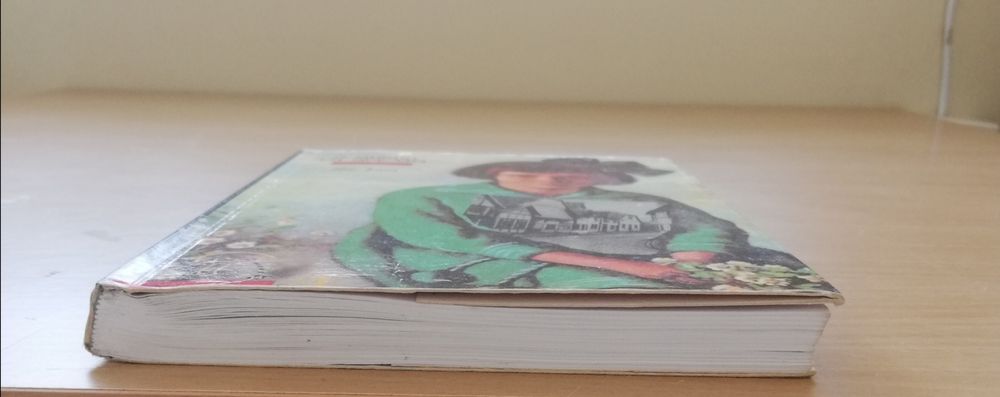 Livro " O Mundo em que vivi" de Ilse Losa
