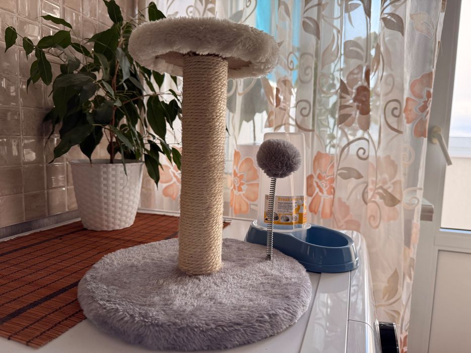 Кігтеточка і миска для тварин