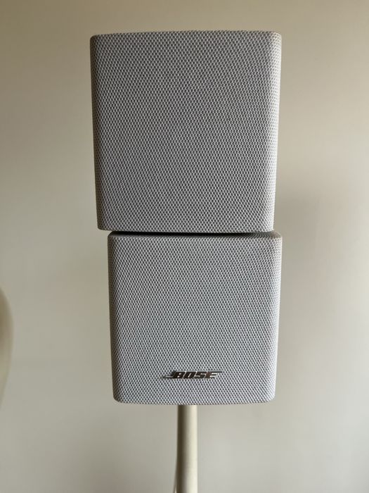 The Bose® Lifestyle® 12 Series II