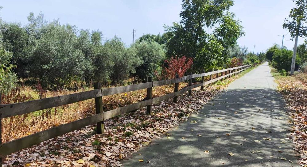 Aluga-se pequena moradia T2 mobilada – Canas de Santa Maria