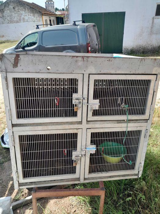Caixa transportadora de caes