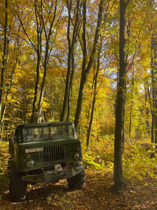 Продам дрова твердої породи дешево ціни без посередників