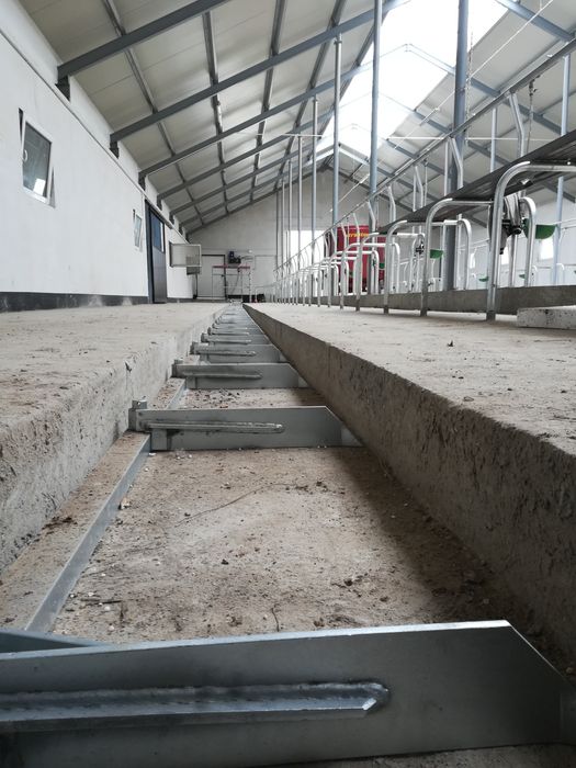 Zgarniacz wygarniacz obornika