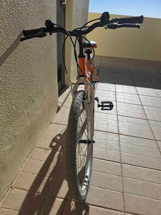 Bicicleta a Pedal