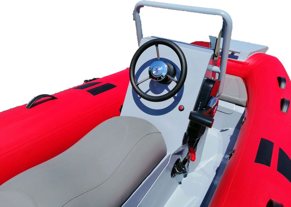 RIB Dolphin 320 - SUZUKI DF 20ARS