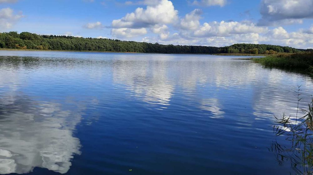 Działka rekreacyjna nad jeziorem Wąsosz - Widok 3