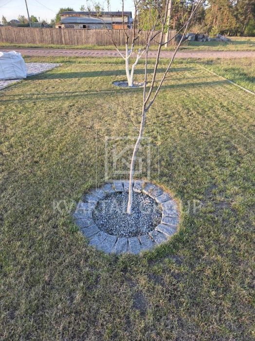 Сучасний будинок з ремонтом A-frame біля лісу та річки