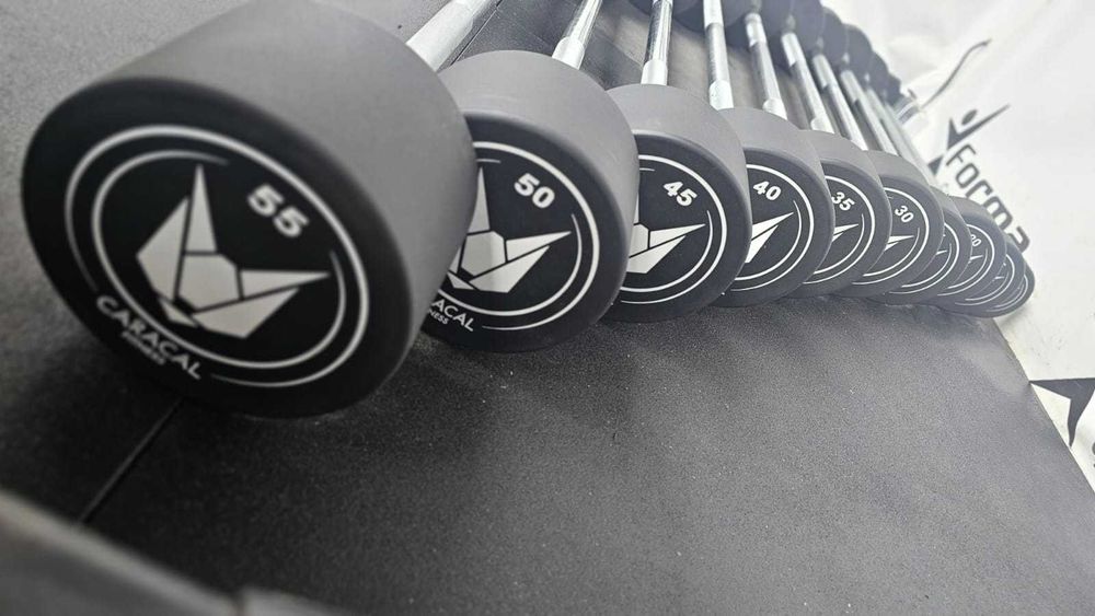 Sztangi Stałe Proste Zakres 10kg - 55kg Uretanowe Najwyższa Jakość!!
