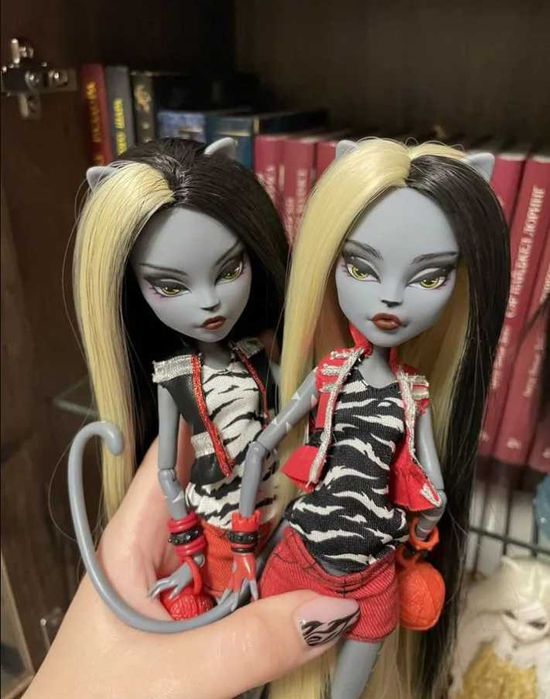 Monster high близнецы