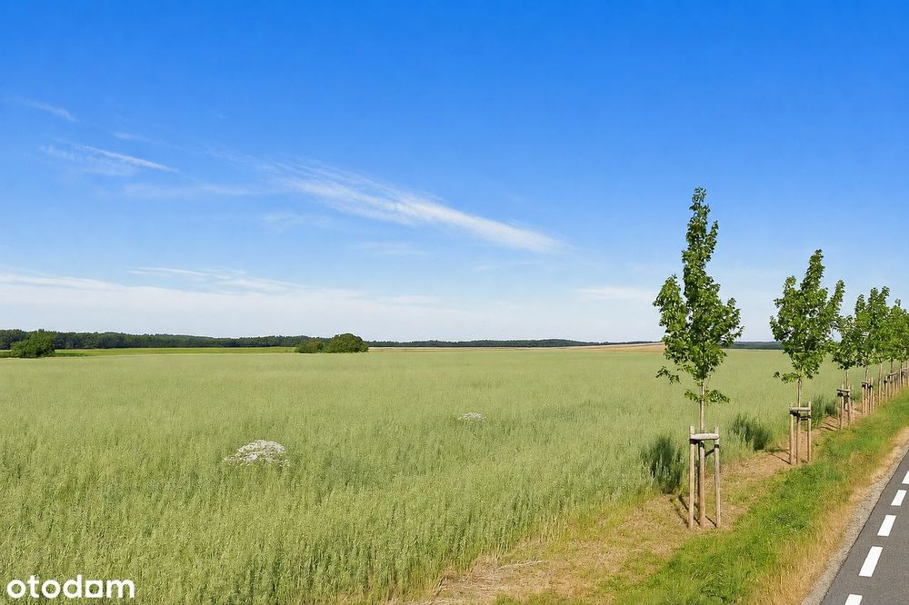 27 000 m² ZABUDOWA ZAGRODOWA + 16 000 m² TERENY ROLNE | Gmina Dopiewo