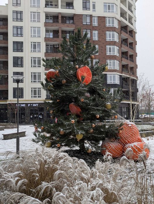 2-кімнатна квартира, БУДИНОК З ГАЗОМ