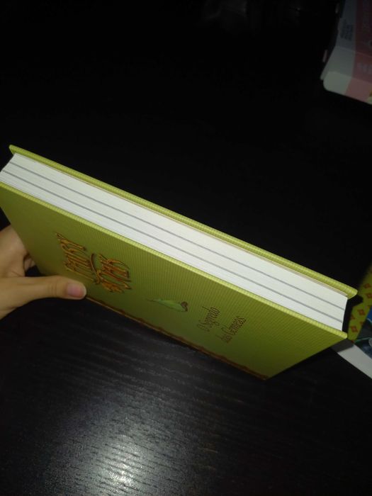 Livro "Fairy Oak - O Segredo das Gémeas"