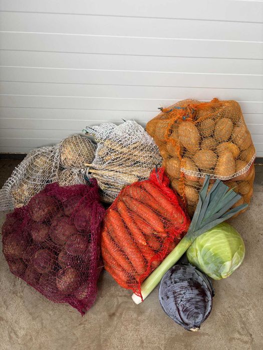 Warzywa marchew i inne