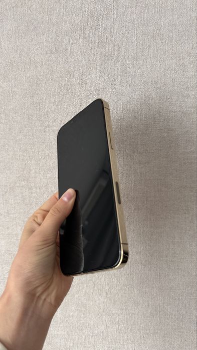 Iphone 13pro max