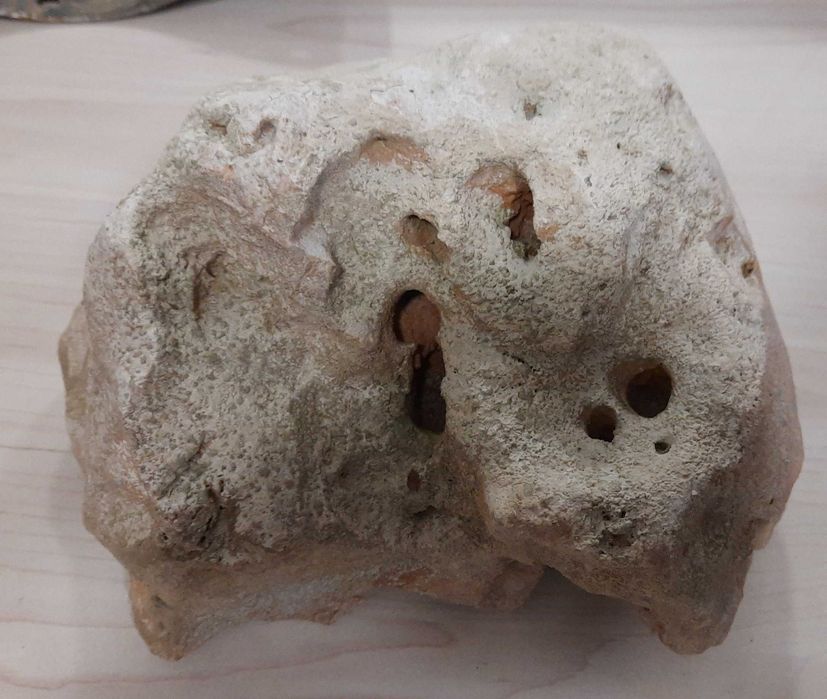 kamień, skała do akwarium