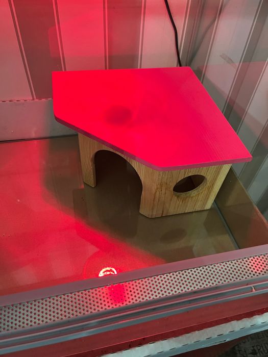 Terrarium z wentylacją, przelotką na przewody kablowe 80x40x50