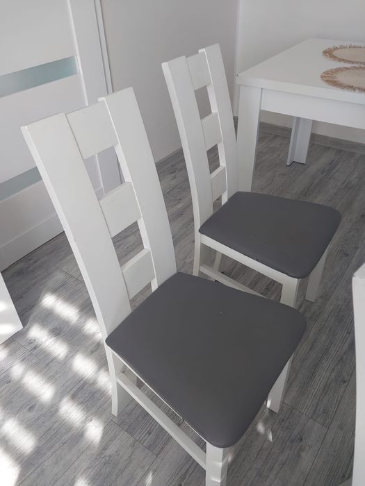 Krzesła Salonowe