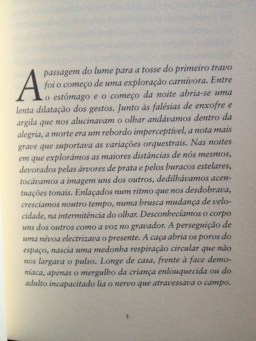 Ricardo Norte - Sara