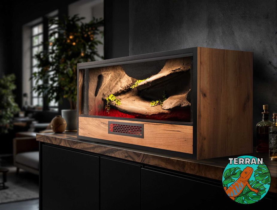 Terrarium 80x40x40cm Agama Gekon wąż zbożowy heterodon