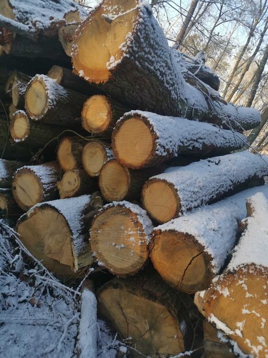 Drewno kominkowo opałowe