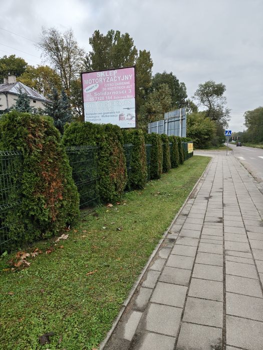 Reklama Dąbrowa Białostocka