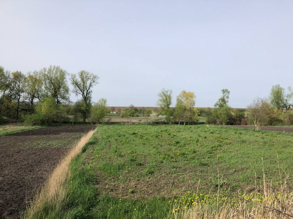 Продаж будинку в селі Кинашів