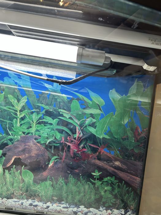 Акваріум на 200л з фільтром та водонагрівачем