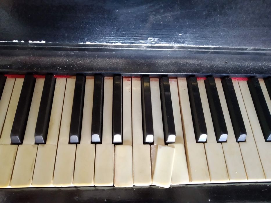Piano clássico Müller-Schiedmayer