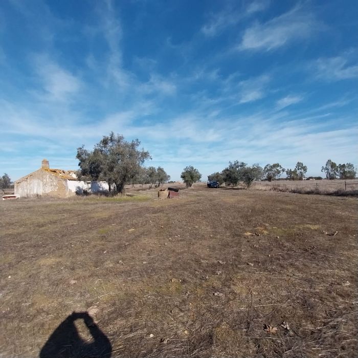 Quinta 12500m2 Alvalade