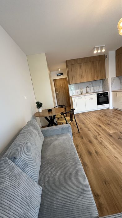 Komfortowy apartament jednopokojowy, do wynajecia od 01.07.2026 - REZERWACJA!! - Widok 4
