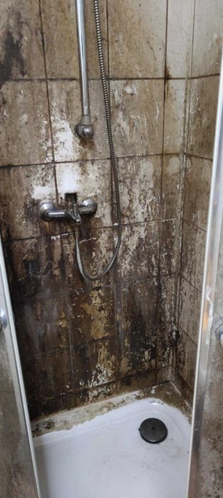 Sprzątanie biur/firm/hal i magazynów. Ubojnie fermy i tereny zielone