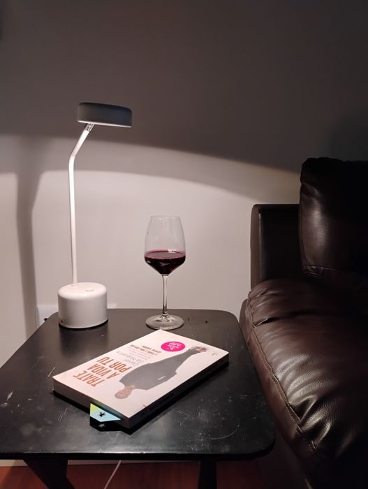 Par de candeeiros de mesa Elco Lite Holland