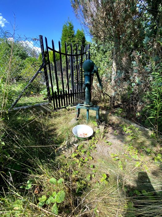 Działka ROD Szczaki 500 m² - Widok 3