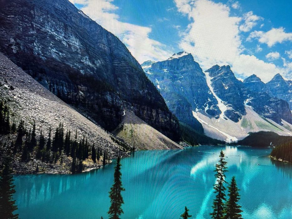 Монітор Dell Professional P2417H 24” IPS FullHD