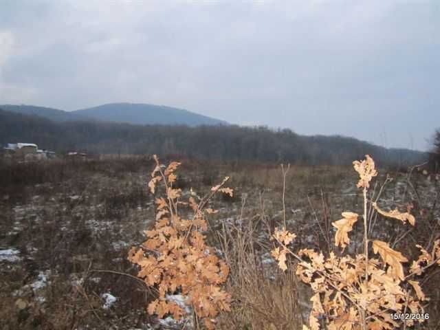 Продаж земельної ділянки 25 сот. с.Холмець Закарпат.обл. 12000$