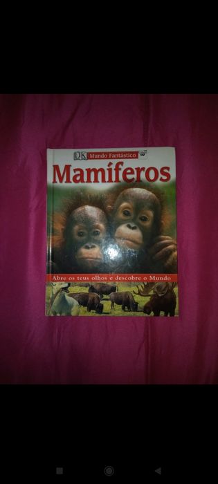 Livros infantis , qualquer unidade por 5€