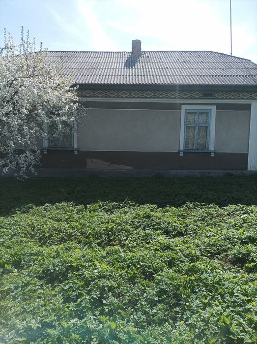 Продам будинок в с. Іване-Пусте