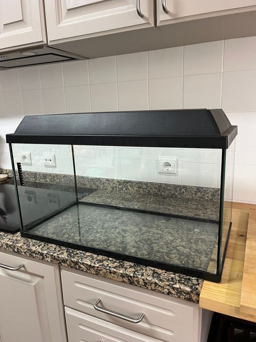 Aquário pra peixes ou tartarugas