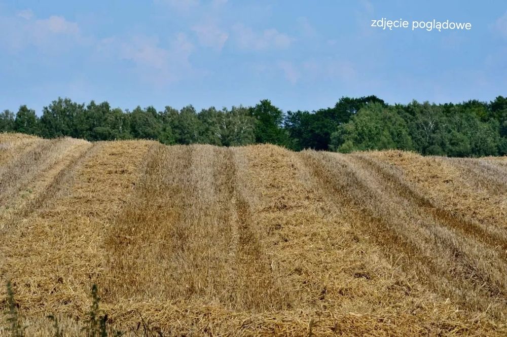 Sprzedam słomę  pożniwną