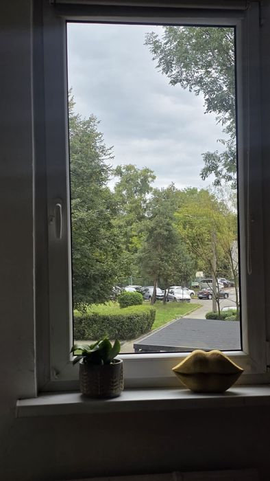Sosnowiec hallera Mieszkanie dwupokojowe od zaraz BEZ POSREDNIKOW