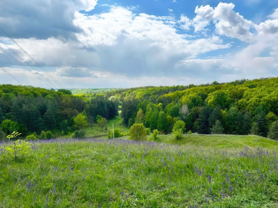 Продаж Будинку в Підгірці (купити дім біля Ходосівка, Романків, Козин)