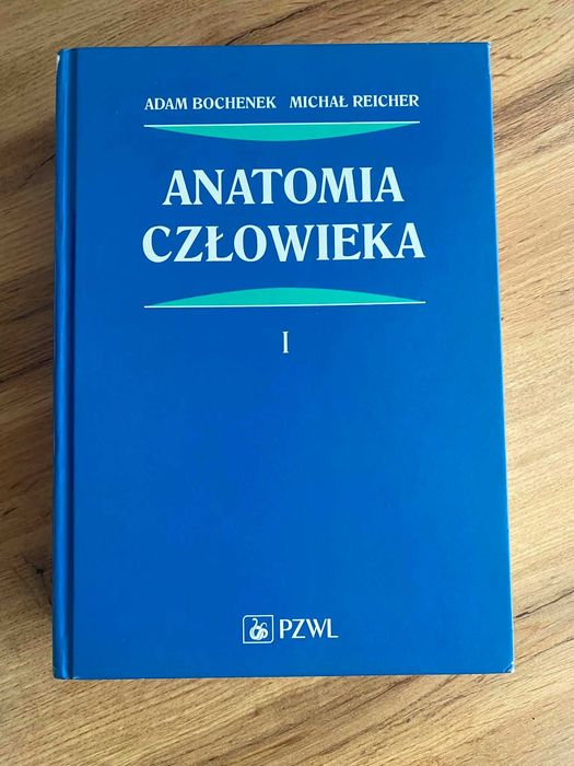 Anatomia człowieka Bochenek