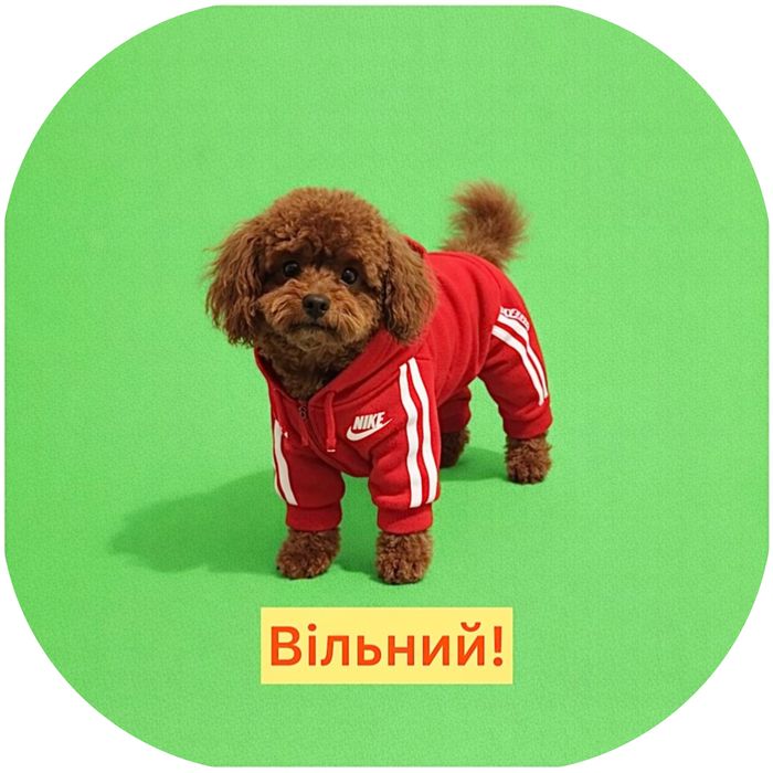 Є доставка за кордон .red браун міні тойчики хлопчики